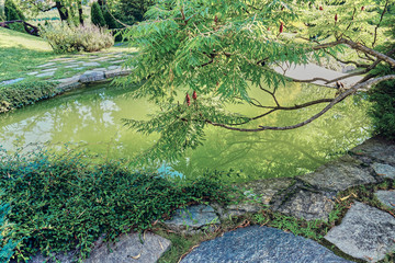 Backyard garden with pool next to the footpath