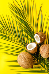 Coconuts and leaves - tropical still life on yellow background top-down
