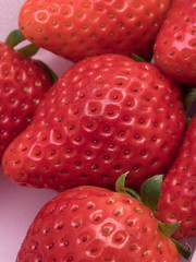 イチゴ　スカイベリー　