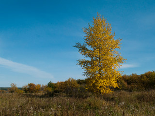 Fototapeta premium Beautiful moments of autumn