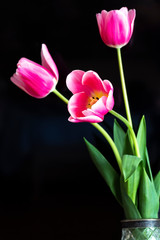 Tulips are in a vase on the bedside table on the background of LCD.