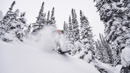 the explosion of snow powder snowboard in the winter in the woods