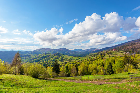 wonderful rural landscape in mountains. fields and meadows on hills rolling in to the distant ridge. trees in fresh green foliage. dirt road and fence through hillside. fluffy clouds on the sky