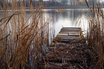Old dilapidated wooden jetty covered in reeds