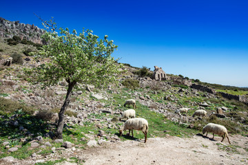 Assos behramkale, canakkale