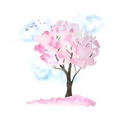 Watercolor hand drawn design illustration of pink cherry sakura tree in bloom blossom flowers, sky, birds, fallen petals. Hanami festival traditional japan japanese culture. Nature landscape plant