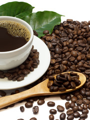 Coffee mugs, coffee leaves and roasted coffee beans isolated on a white background