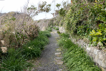 仁右衛門島の風景　千葉県鴨川市　日本