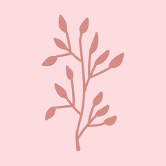 Sign hand drawn herbal Twig leaves. Floral sprig. Spring flower, buttons, blade, bush isolated on pink background. Cartoon outline vector illustration