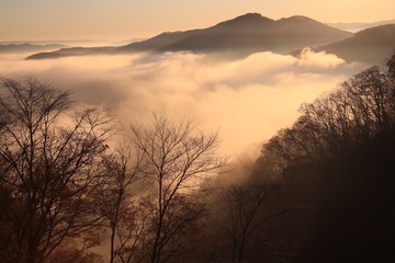 Fototapeta na wymiar 鎌倉山の雲海