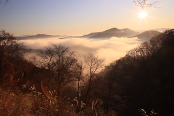 鎌倉山の雲海