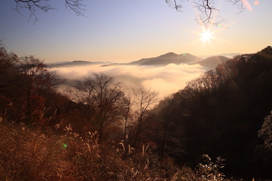 81 Best 鎌倉山 Images Stock Photos Vectors Adobe Stock 81 Best 鎌倉山 Images Stock Photos Vectors Adobe Stock