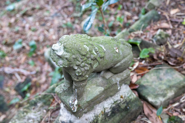 仁右衛門島の風景　千葉県鴨川市　日本