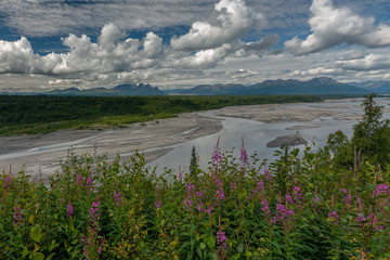 View of Alaskan Mountain Range in Denali National Park, Alaska