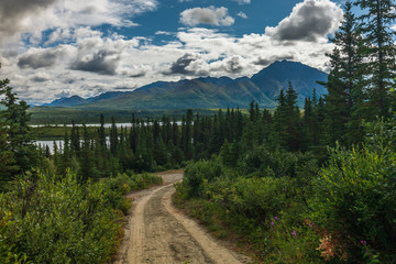 View of Alaskan Mountain Range in Denali National Park, Alaska