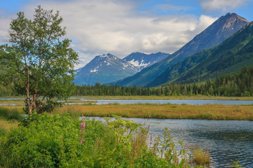 Fototapeta na wymiar View of Alaskan Mountain Range in Denali National Park, Alaska