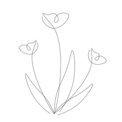 Spring flowers tulips line draw vector illustration