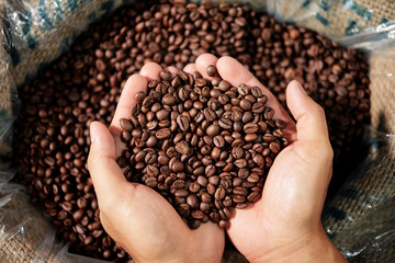 Roasted coffee beans in hands of person