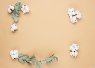 Eucalyptus leaves and cotton flowers on pastel beige background. Flat lay, top view. Copy space.