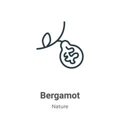 Bergamot outline vector icon. Thin line black bergamot icon, flat vector simple element illustration from editable nature concept isolated stroke on white background - obrazy, fototapety, plakaty