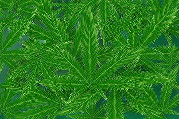 Naklejka na ściany i meble Realistic green cannabis leaf drug marijuana herb Background.Creative natural Marijuana Cannabis.Medical Organic green plant Wallpaper in web-page.Template frame decorated.vector illustration.EPS10