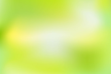 Fototapeta na wymiar Green Nature gradient backdrop with bright sunlight beautiful.Abstract green blurred background.Light green sunny.Creative design Ecology Environment concept,For banner or poster. Vector illustration
