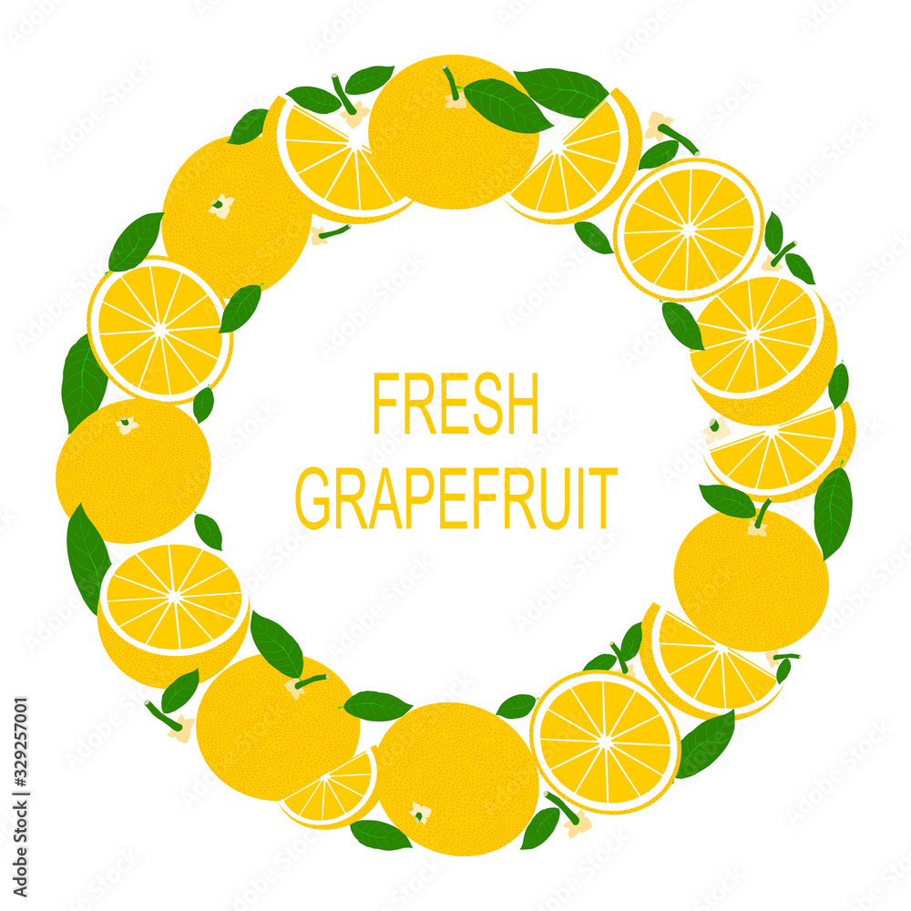 Poster wreath with grapefruit. vector illustration with fresh grapefruits in circle. vector flat design sui