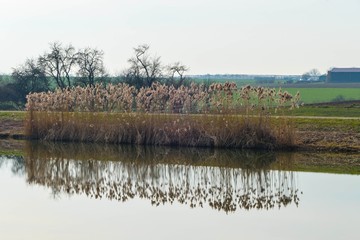 Alter Kanal Franken Herbst