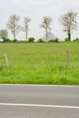 Mont Saint Michel over the field.