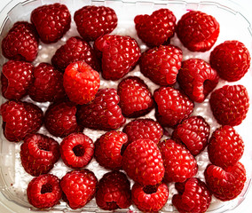 Himbeeren