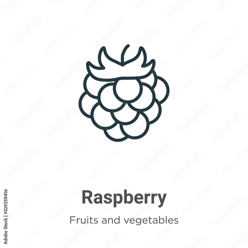 Poster raspberry outline vector icon. thin line black raspberry icon, flat vector simple element illustrati