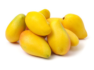 Mango on white background