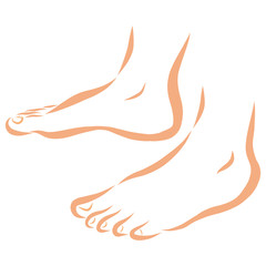 two bare feet on a white background