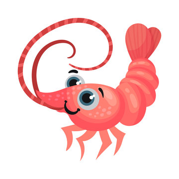 Cute Shrimp Cartoon Character with Big Eyes Vector Illustration