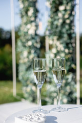 Closeup of two glasses of fresh champagne on wooden table on green background. Party and holiday celebration concept