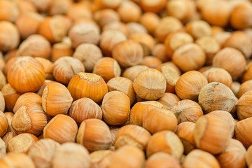 Obraz na płótnie Canvas Background texture of hazelnut nuts.