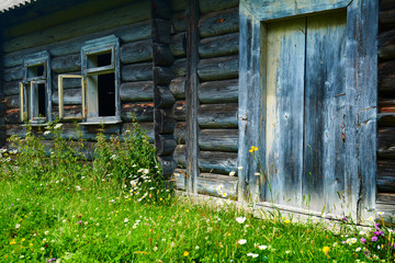 abandoned wooden home in countryside, nature, summer landscape in carpathian mountains, wildflowers and meadow, spruces on hills