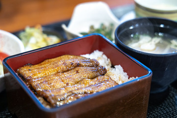 Unagi lunch set - GRILLED EEL Japanese Food