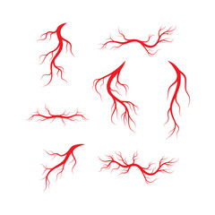 Human veins and arteries illustration design