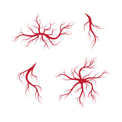Human veins and arteries illustration design
