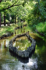 癒し公園の池に朽ちている杭が羅列されている模様