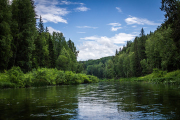Fototapeta na wymiar River in deep forest