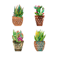 Fototapeta premium Watercolor cacti and aloe on white background.Нome plants in pots.Botanical illustration succulents . Design for textile, fabric, print, ,smartphone cover,postcard,cover notebooks .
