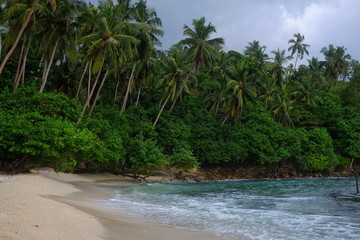 Paradise beach in Sri Lanka