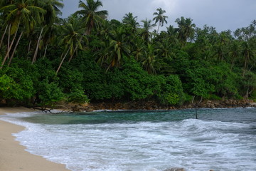 Paradise beach in Sri Lanka