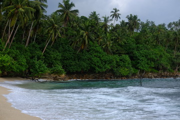 Paradise beach in Sri Lanka