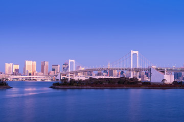 Fototapeta premium Tokyo Rainbow Bridge soarin over harbour bay futuristic cityscape Japan in morning time. Beautiful landscape.