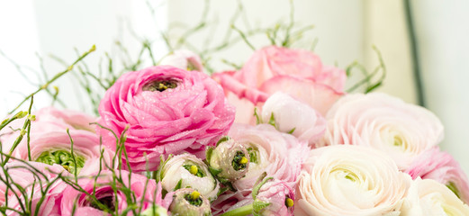 Persian buttercup. Bunch pale pink ranunculus flowers light background. Wallpaper, Horizontal photo...