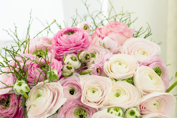 Persian buttercup. Bunch pale pink ranunculus flowers light background. Wallpaper, Horizontal photo...