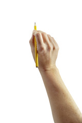 Elegant woman's hand holding a yellow lead pencil. Useful for presentations and visual graphics on...